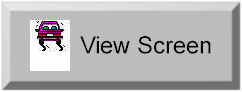 Screen View